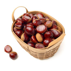 (현대홈쇼핑)국내산 부여 무농약 햇밤 대사이즈, 1개, 4kg