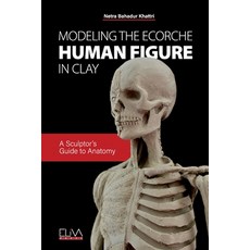 (영문도서) Modeling the Ecorche Human Figure in Clay: A Sculptor's Guide to Anatomy Paperback, Eliva Press, English, 9781636482415