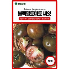 아람종묘 블랙펄 토마토 씨앗 10립 가정원예 완숙토마토씨 종자, 1개