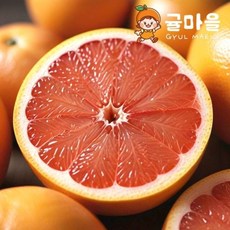 귤마을 프리미엄 레드자몽 대과 15과 개당 350g내외, 단품, 단품