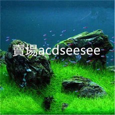 水生水草種子 魚缸造景植物種子 速成迷你牛毛草, 1個, SC4 小牛毛,1入（約10000粒）