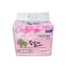 봄날애 남녀공용 팬티언더웨어 성인용 기저귀 대형(M~L) 10매입 성인기저귀/패드 대형, 1개, 대형