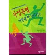 가정폭력 어떻게 할 것인가, 하늘사다리