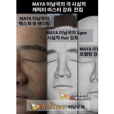 MAYA 李南國的超寫實角色大師講座(USB)：MAYA Arnold Mudbox Nuke 連動講座, Wild Cube