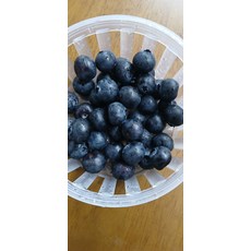 블루베리 국산 엄선 면역 식품 200g 1개