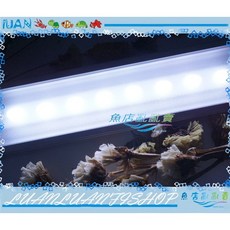 ISTA伊士達 高之光LED側夾蛇管夾燈19cm 全白光/藍白光/增豔光 魚缸夾燈, EL-611藍白燈