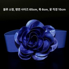 캐주얼 원피스 댄스벨트 줌바 공연 라인 방송 라틴 벨리