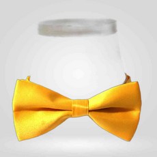 보타이 리본넥타이 돌잔치넥타이 돌잔치 버글형넥타이 노랑보타이 보타이 리본넥타이