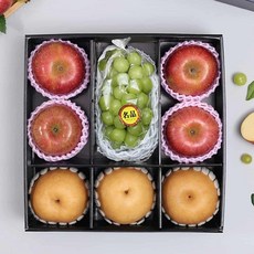 과일선물세트 사과+배+샤인머스켓 제철과일 과일선물상자 dhy8630kk