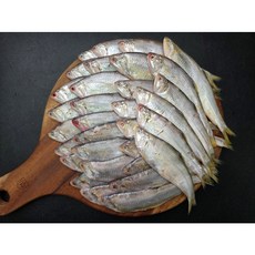 국내산 제철 급냉 밴댕이 1kg (30-40미내외) 횟감가능 회무침, 1개, 1kg(30-40미 쯤)