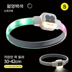 모츄츄 강아지 LED 레인보우 목걸이 등야간 강아지 산책방수 6종 조명, 1개, 백