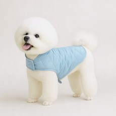 오렌지원 8가지 사이즈 강아지 입히기 쉬운 기모 벨크로 패딩, 스카이블루