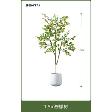 인테리어 조화 레몬나무 생화같은 인조화분, 1.5m 레몬나무 + 화이트 원형