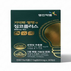 영진약품 기억력 혈행엔 징코플러스, 30정, 1박스