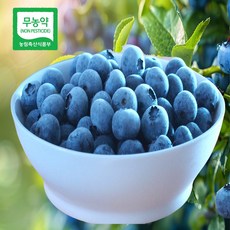 산지직송 친환경 무농약 국산 블루베리 급냉 국내산 냉동 블루베리 부루베리 불루베리, 1개, 1kg(상특)