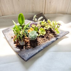 옛기와 수기와 암기와 인테리어 돌 빈티지 다육화분 야생화 기와장 기와 화분, 1개, 기와