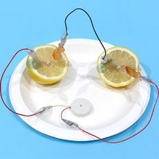 멜로디버저 과일전지 1인용 과학실험 과학키트 과학놀이 과학교구 만들기용품 관찰, 1개