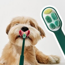 프로젝트21 덴티 클린 브러시 강아지 고양이 칫솔 양치 치석 초극세사모 1개입 1개 200590