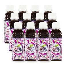 푸룬 농축 딥워터 180ml x 12병
