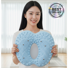 코어즈 웰니스텝 가정용 에어 지압 스텝퍼 천국의계단, 블루