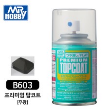 GSI 군제 마감제 수성 프리미엄 탑코트 무광 스프레이 (캔/88ml) [B603], 1개, 88ml
