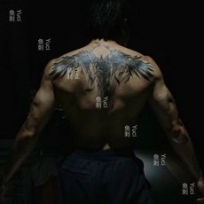 草本果汁紋身貼紙 翅膀圖案 後背/胸前適用 (兩張同款) 男女防水模擬漸變紋身貼, 1個, 草本果汁半永久翅膀後背胸前（同款兩張）男