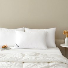 모던하우스분당점 고밀도 순면 코튼 구스필 베개솜 40*60, 1개, 설명참조