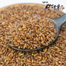 힘찬농부오달봉 25년 햅쌀 국산 홍미쌀 홍미, 1개, 2kg