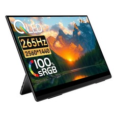 EHOMEWEI 이홈웨이 R시리즈 16 17.3 18인치 OLED QLED IPS 4K 2.5K 휴대용 모니터 DCI-P3 120Hz 265Hz 게이밍 맥북 듀얼모니터, RQHG-173NW, 43.94cm