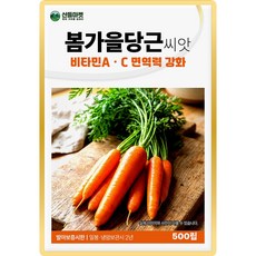 산들 봄가을 당근 씨앗 500립 당도 우수한 봄 가을 당근씨 종자, 1개