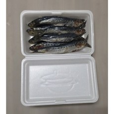 만능피싱 국산 정어리미끼 바다낚시 갈치 우럭 갑오징어 문어 농어 붕장어 볼락 대상어, 1개, 430g