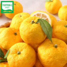 [겨울한정 고흥 유자] 면역/피로에 좋은 향긋하고 신선한 유자, 1박스, 2kg(못난이)
