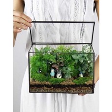 테라리움유리병 이끼테라리움 플랜테리어 유리커버 장식 다육 식물기르기 DIY, 3.C타입16x16x25cm/식물기타장식없음