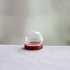 개방형 원형 유리 Cloche 글로브 디스플레이 돔 커버 병 영원한 나무 받침대가 있는 1/2X 20/25/30/35mm, 02 1pc, 06 NO2 25x20mm