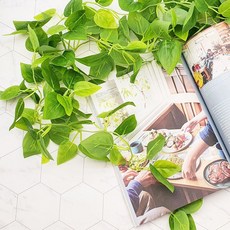 덩쿨 조화 풍성한 실내 덩굴_ 050613