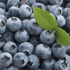 슈퍼푸드 프리미엄 고당도 생 블루베리, 1박스, 14-16mm 625g (125g x 5팩)