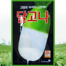 김장무 씨앗 300립 달고나 가을무씨 종자, 1개