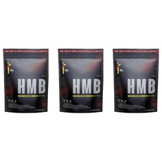 Mr Run HMB 500mg 120정 3팩