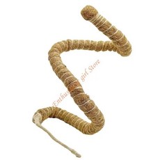 구부릴 포도 나무 코코넛 파충류 덩굴 파란색 테라리움 자연 서식지, 1개