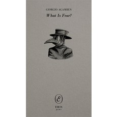 (영문도서)What Is Fear? Paperback, Eris, English, 9781967751501