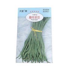 天星牌蔓性菜豆種子，家庭園藝蔬菜種子，口感鮮嫩清脆，新手易種植, 1個