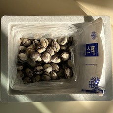 남해 산지직송 벌교꼬막 선별 새꼬막 중사이즈 1kg, 1