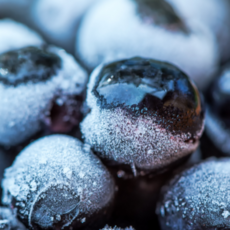 냉동 아로니아 국내산고창 줄기제거 아로니아생과, 1개, 2.5kg (특품)