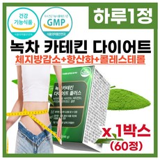 식물성 녹차 다이어트 카테킨 카태킨 항산화 콜레스테롤 체지방감소 도움 하루 1정 먹는 다이어트, 60회분, 1박스