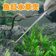 帥哥水族 專業水草夾 水草工具 不鏽鋼 餵食夾 鑷子 魚缸造景 水草缸 爬蟲 水草 夾子, 1個