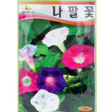 식물의집 나팔꽃 꽃씨앗 씨, 1개