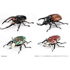 萬代 生物大圖鑑 獨角仙 08 全5款 甲蟲 大兜蟲 美西白兜蟲 波麗菲夢斯花金龜 轉蛋, 1個, 扭蛋4款