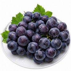 [재구매율1위] 초고당도 캠벨 포도 선별 특품 당일수확 산지직송 디아머스, 1개, 1kg