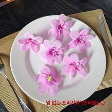 이자카야 인조 일식 원형 초밥 접시 사시미 벚꽃나무, 잎 없는 프래그런트 스노우 오키드 B