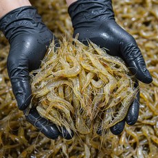 냉동 민물새우 400g 자연산 새우탕 새우깡 새우튀김 해물탕 김장 육수